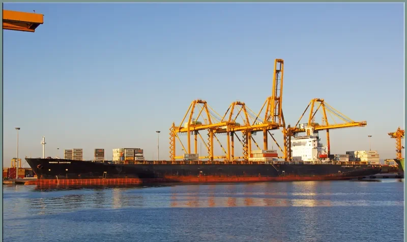 PATAI Container Ship IMO 9005560 photo 3