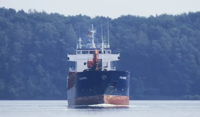 FALKBRIS General Cargo IMO 9006291 photo 6