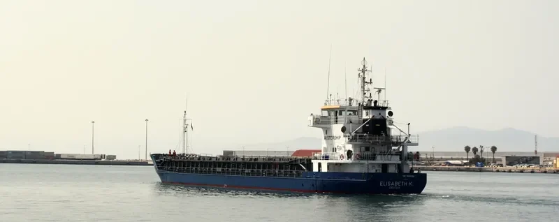 BUVIK General Cargo IMO 9006356 photo 7