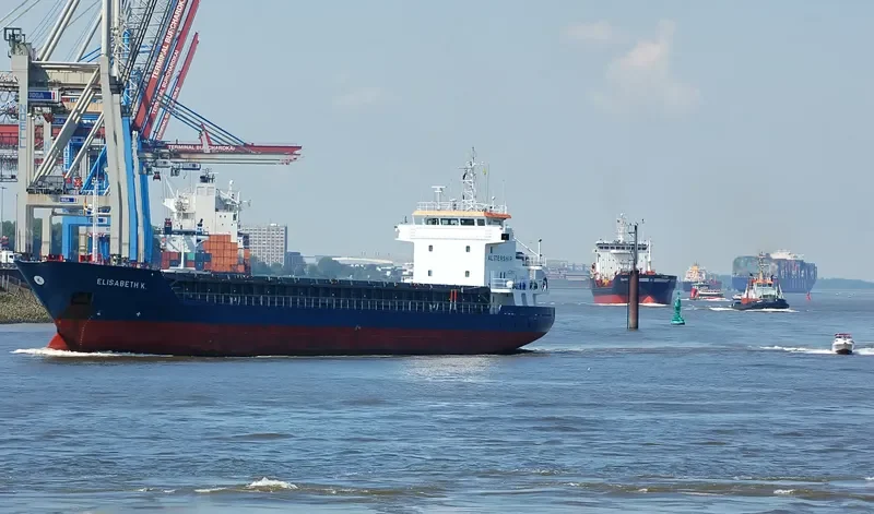 BUVIK General Cargo IMO 9006356 photo 8