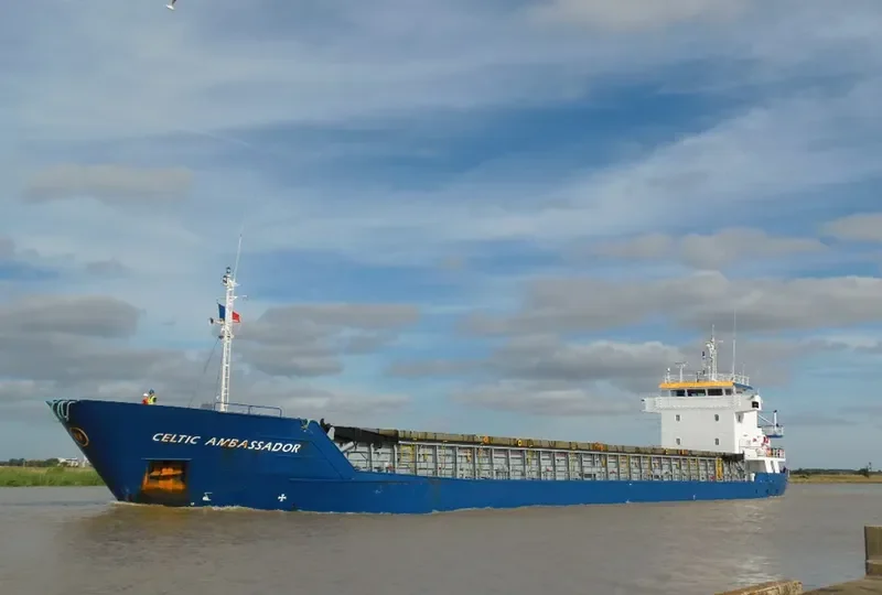 AMBASSADOR S General Cargo IMO 9006370 photo 9