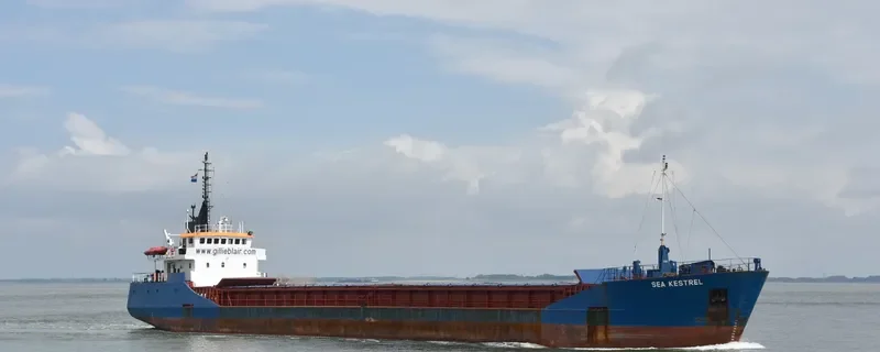SEA KESTREL General Cargo IMO 9006459 photo 2