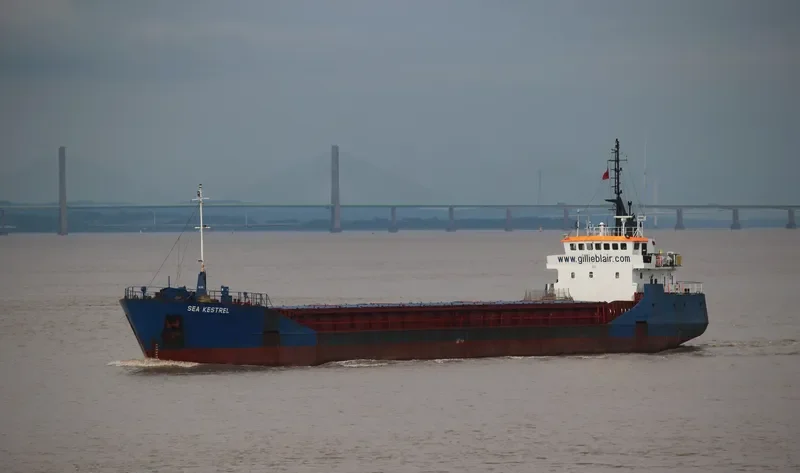 SEA KESTREL General Cargo IMO 9006459 photo 3