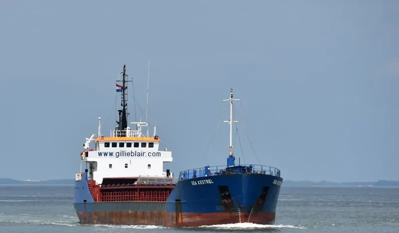 SEA KESTREL General Cargo IMO 9006459 photo 6