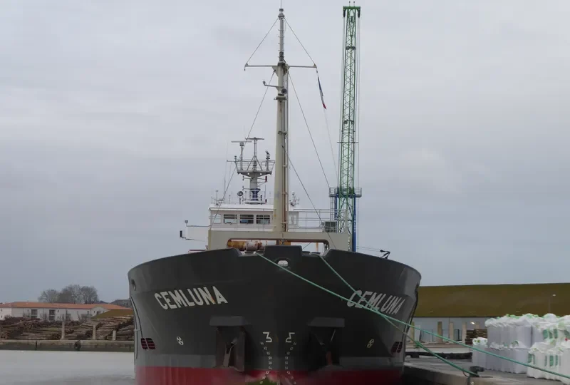 CEMLUNA Container Ship IMO 9007063
