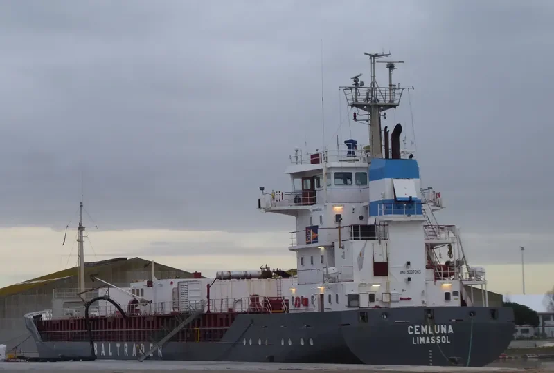 CEMLUNA Container Ship IMO 9007063 photo 2
