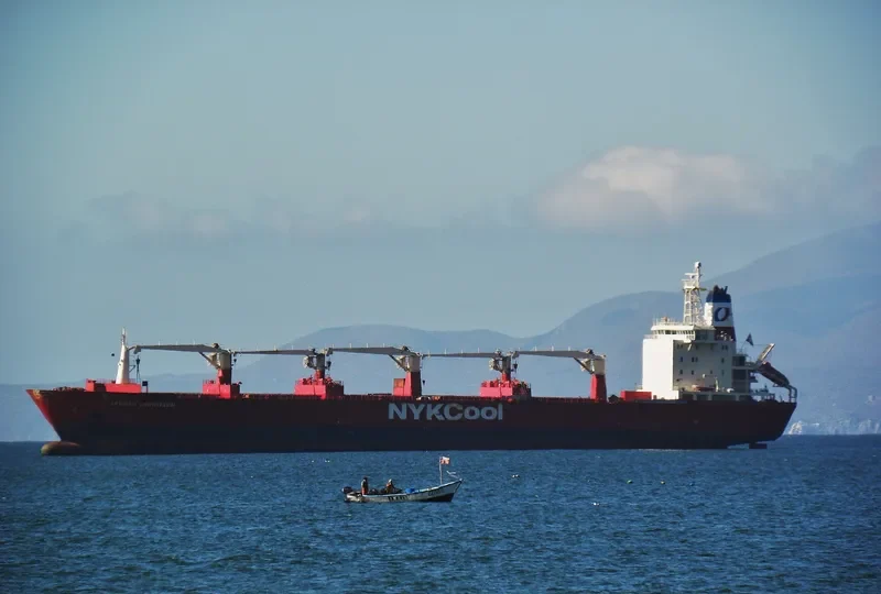 JORGEN REEFER General Cargo IMO 9007489 photo 8