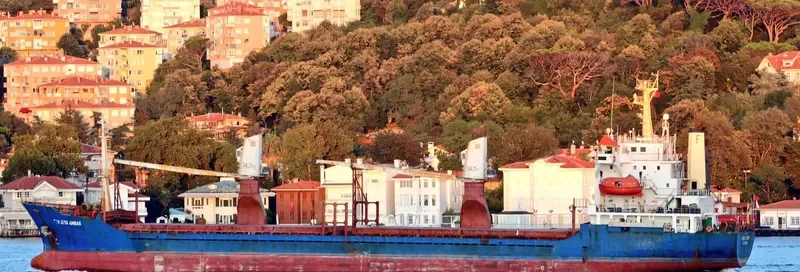 PRINCESS AMNAH General Cargo IMO 9008067
