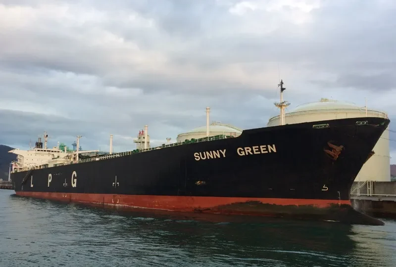 SUNNY GREEN General Cargo IMO 9008108