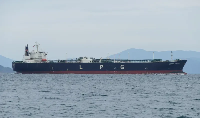 SUNNY GREEN General Cargo IMO 9008108 photo 2