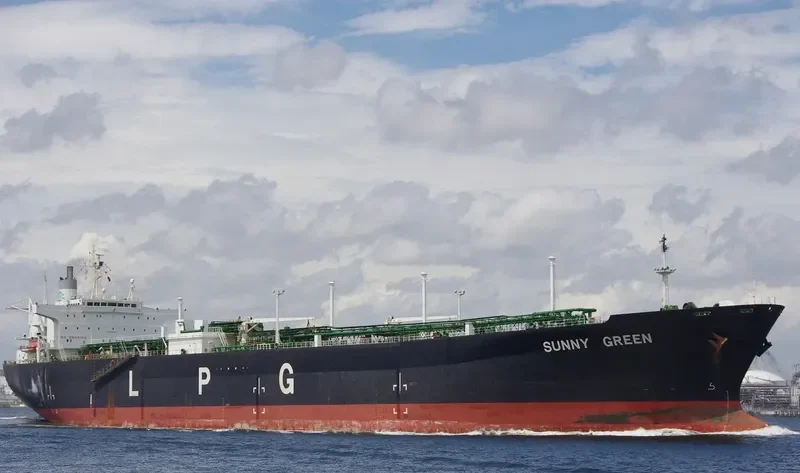 SUNNY GREEN General Cargo IMO 9008108 photo 3