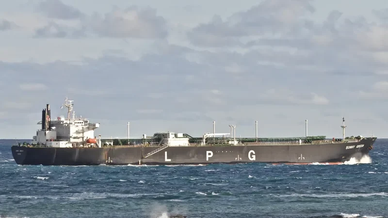 SUNNY GREEN General Cargo IMO 9008108 photo 4