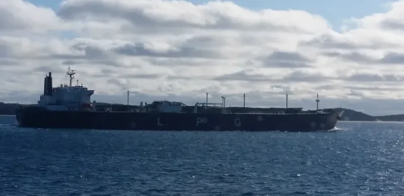 SUNNY GREEN General Cargo IMO 9008108 photo 6
