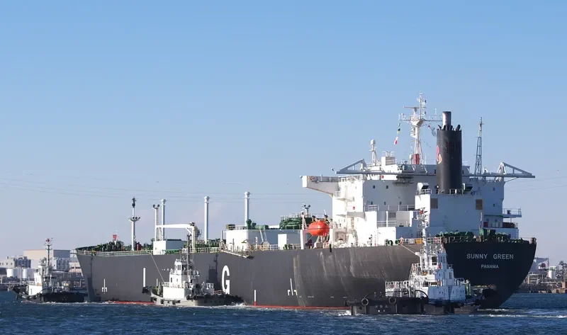 SUNNY GREEN General Cargo IMO 9008108 photo 7