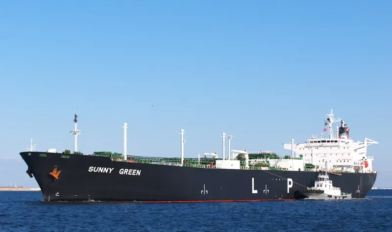 SUNNY GREEN General Cargo IMO 9008108 photo 8
