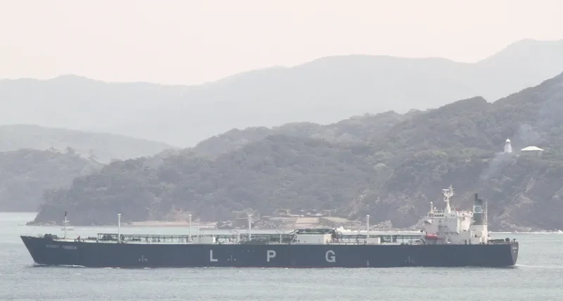 SUNNY GREEN General Cargo IMO 9008108 photo 10