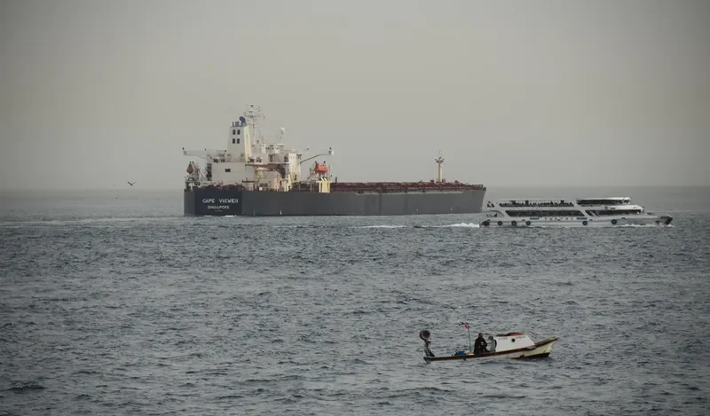 AQUA CHALLENGER Bulk Carrier IMO 9008160 photo 4