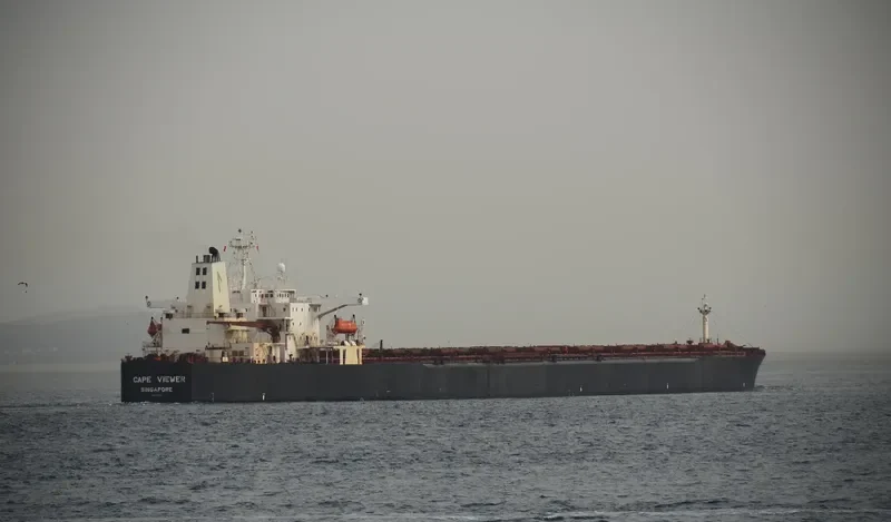 AQUA CHALLENGER Bulk Carrier IMO 9008160 photo 5