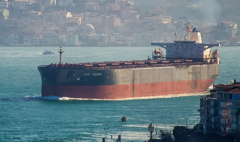 AQUA CHALLENGER Bulk Carrier IMO 9008160 photo 6