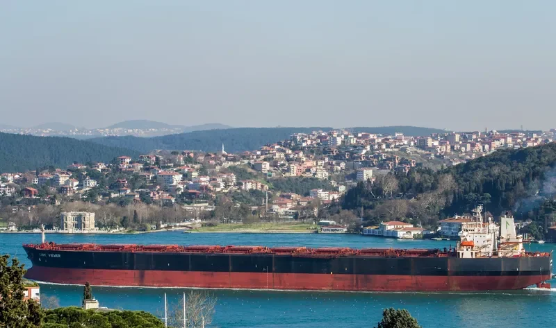 AQUA CHALLENGER Bulk Carrier IMO 9008160 photo 8