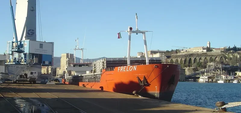 FRELON General Cargo IMO 9008275 photo 6