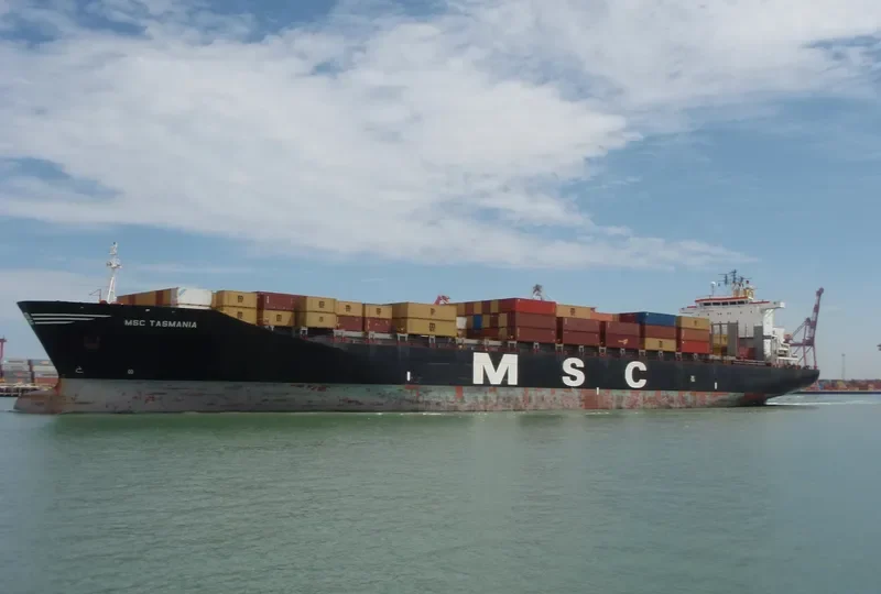 MSC TASMANIA Container Ship IMO 9008574
