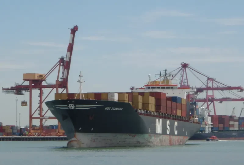 MSC TASMANIA Container Ship IMO 9008574 photo 2