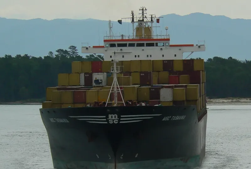 MSC TASMANIA Container Ship IMO 9008574 photo 3