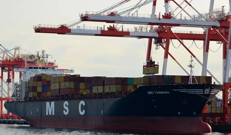 MSC TASMANIA Container Ship IMO 9008574 photo 7