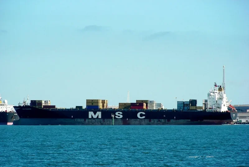 MSC TASMANIA Container Ship IMO 9008574 photo 10