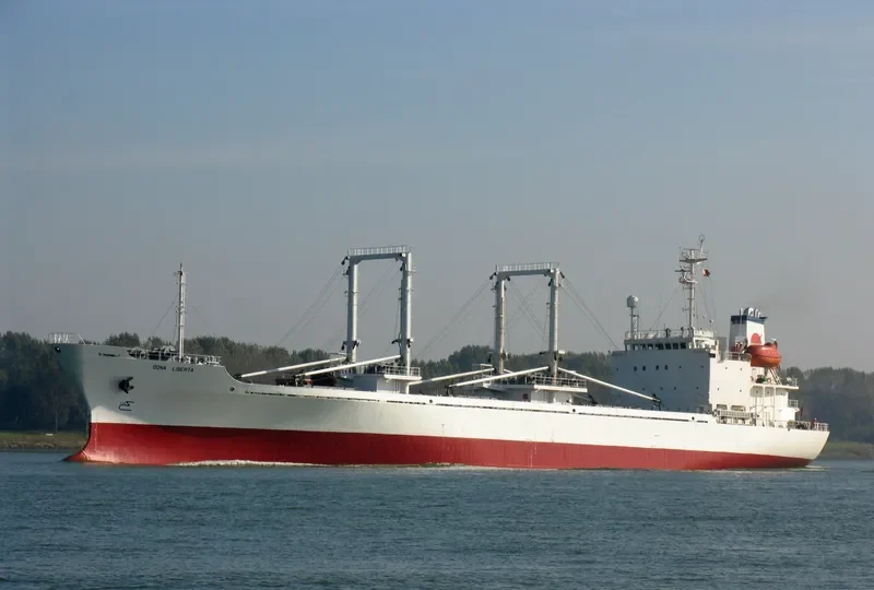 SEA PEARL I General Cargo IMO 9008639