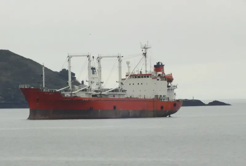 SEA PEARL I General Cargo IMO 9008639 photo 2