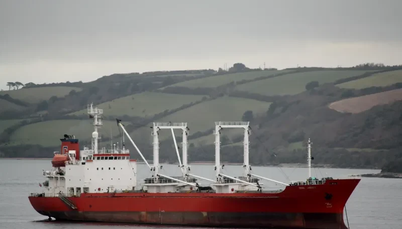SEA PEARL I General Cargo IMO 9008639 photo 3