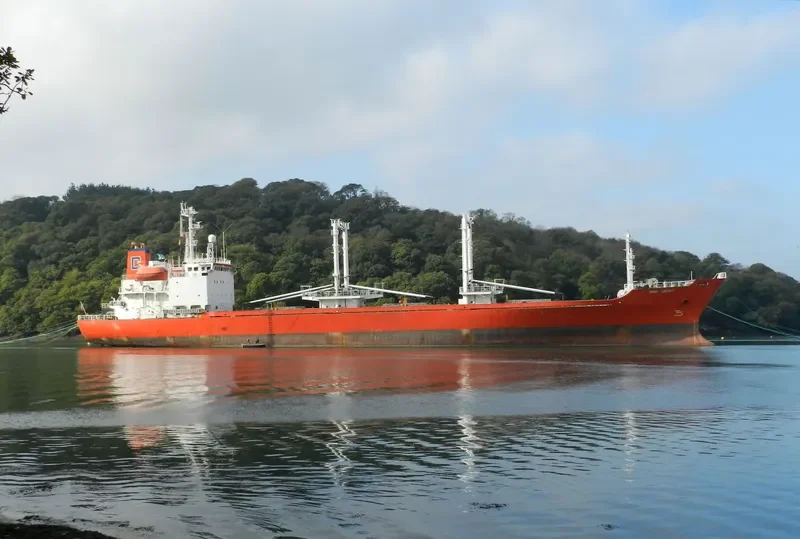 SEA PEARL I General Cargo IMO 9008639 photo 5