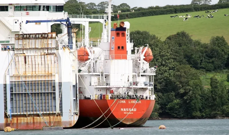 SEA PEARL I General Cargo IMO 9008639 photo 6