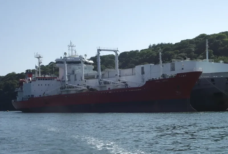 SEA PEARL I General Cargo IMO 9008639 photo 7