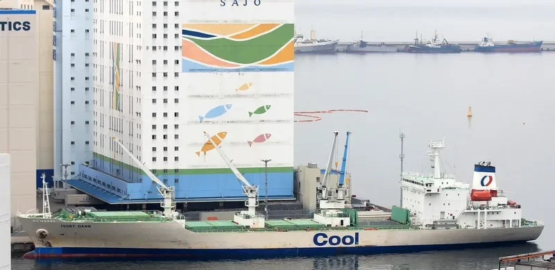 BALTIC PEARL General Cargo IMO 9008732 photo 8