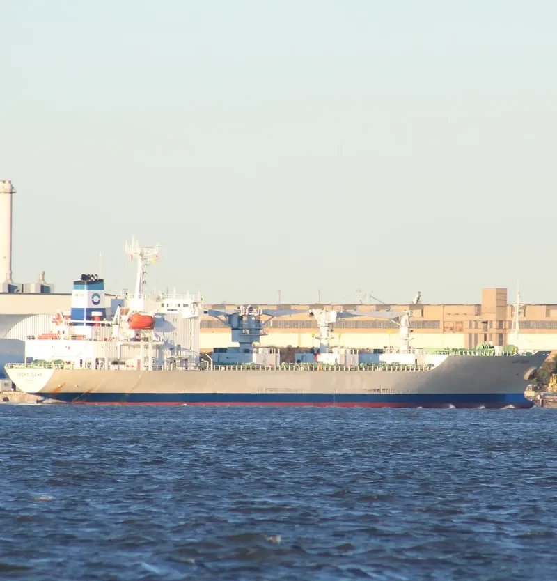 BALTIC PEARL General Cargo IMO 9008732 photo 9