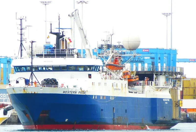 WESTERN PRIDE General Cargo IMO 9010125 photo 3