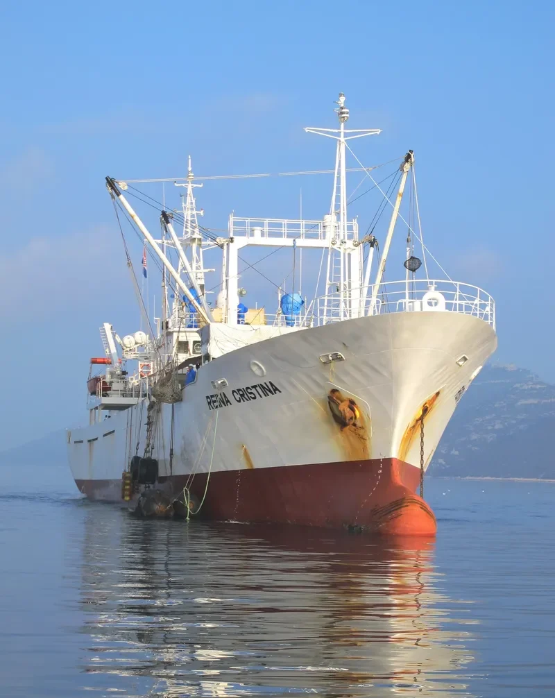REINA CRISTINA General Cargo IMO 9011301 photo 4