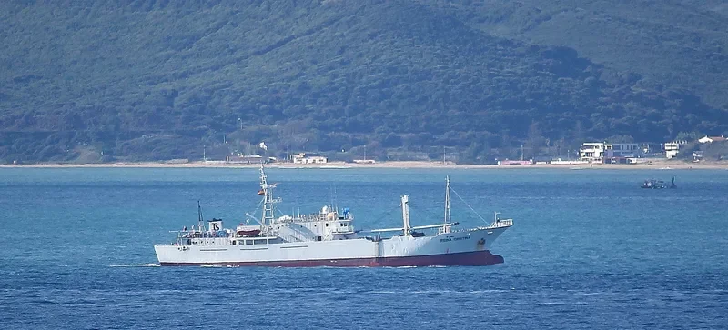 REINA CRISTINA General Cargo IMO 9011301 photo 7