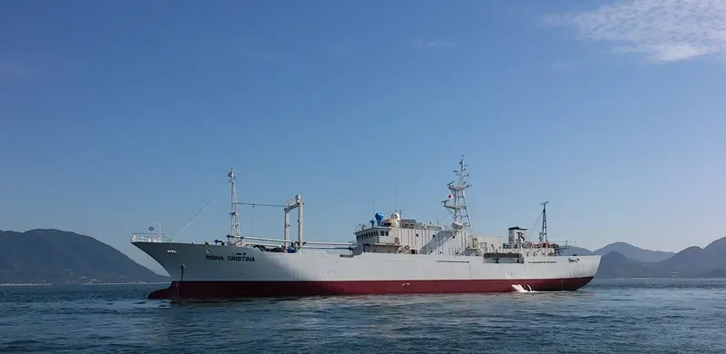 REINA CRISTINA General Cargo IMO 9011301 photo 8
