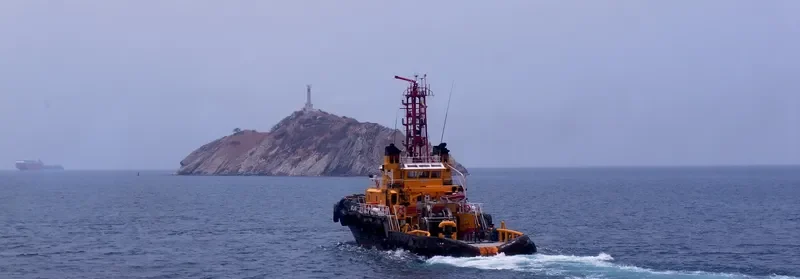 ENGAGE RIVAL General Cargo IMO 9012197