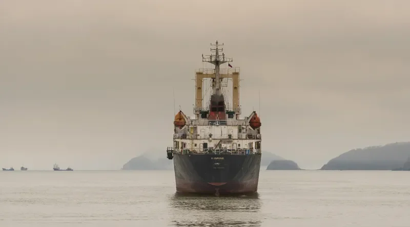 HM FOUNDATION Bulk Carrier IMO 9012379 photo 2