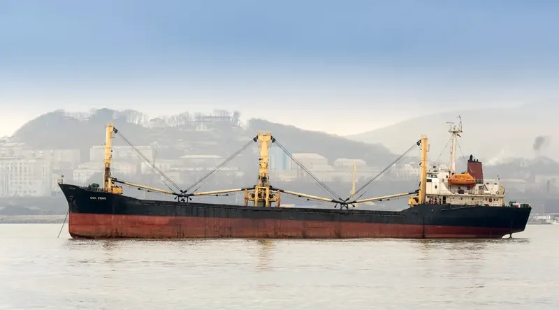 HM FOUNDATION Bulk Carrier IMO 9012379 photo 5