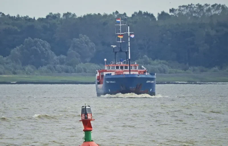 EEMS COBALT General Cargo IMO 9013062 photo 6