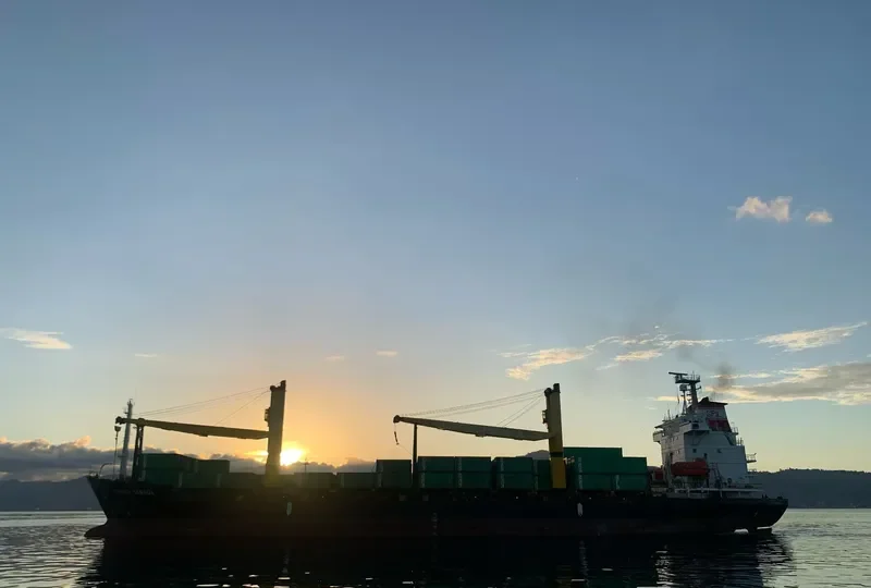 ARMADA SENADA Container Ship IMO 9013139 photo 10