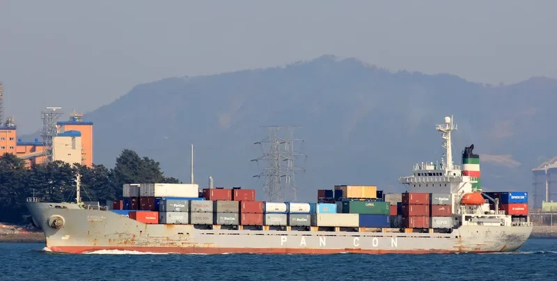 VANIA Container Ship IMO 9014119 photo 2