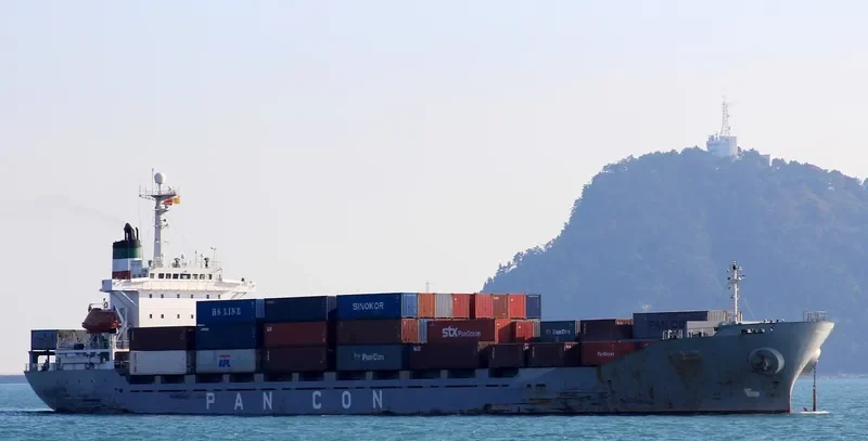 VANIA Container Ship IMO 9014119 photo 3