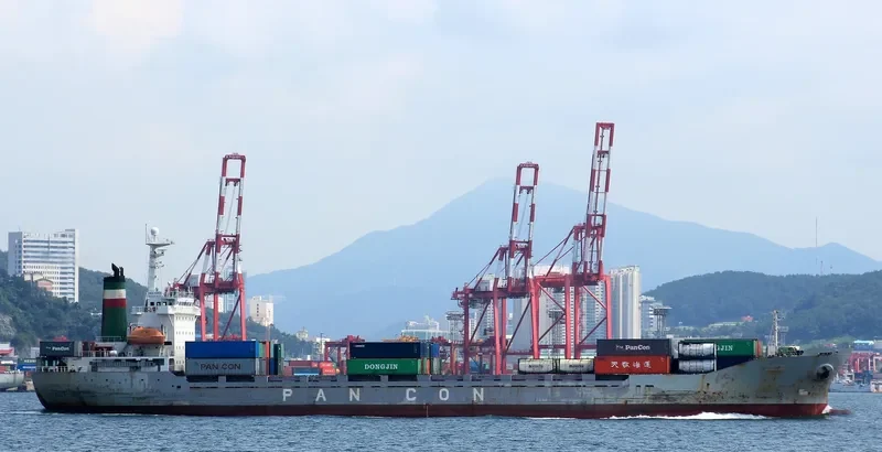VANIA Container Ship IMO 9014119 photo 7